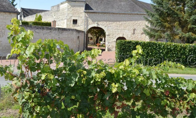 Ligre House | Gîte Ligré, 8 pièces, 15 personnes - FR-1-381-129