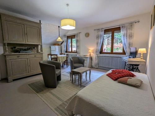 Le Syndicat Apartment | Gîte rénové avec randonnées et ski à proximité, à 6 km de Remiremont - FR-1-589-151