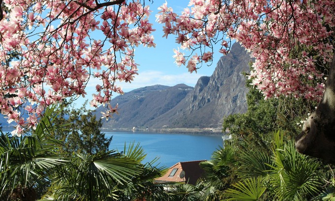 Castagnola Apartment | GARDEN-apartment Castagnola-near lakeindoor-pool,aircondition,lakeview, with dog