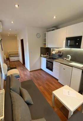 Kralupy nad Vltavou Apartment | Garden house on the Vltava riverbank 15 min to Prague