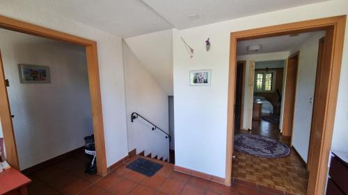 Root House | Geste Haus Luzern