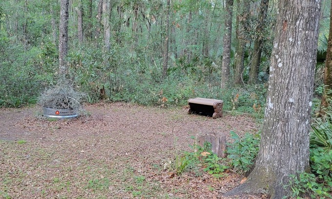 Old Town RV Rental | Get away to a nice primitive campsite 1 mile from the swaunnee river.