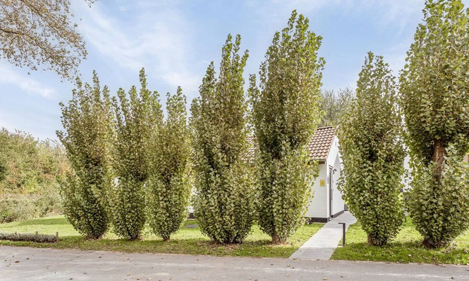 Westouter House | Gezellig Huisje in Westouterparadijs Voor Fietsers en Wandelaars