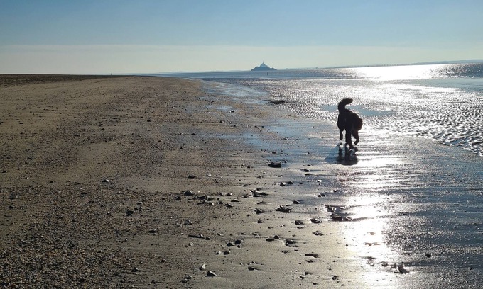 Dragey-Ronthon House | Gite "Le Mont Saint Michel" 600 m de la Plage Chèques Vacances Acceptés