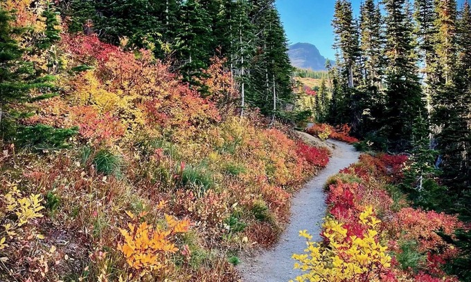 Columbia Falls Condo | Glacier Park Condo