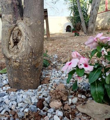 Chalcis Apartment | Gogo house in Faro Avlida