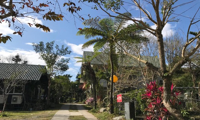 Luye House | Goose House