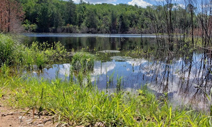 Gordon RV Rental | Gordon's Gateway Private Campsite