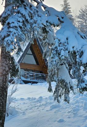 Presika Ski Chalet | Gorska bajka - Borovica, planinska kuća za odmor i wellness