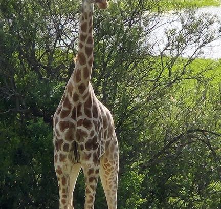 Kopanong House | Goshen Guest Farm