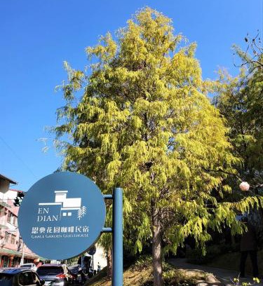 Shuili House | Grace Garden Coffee Homestay