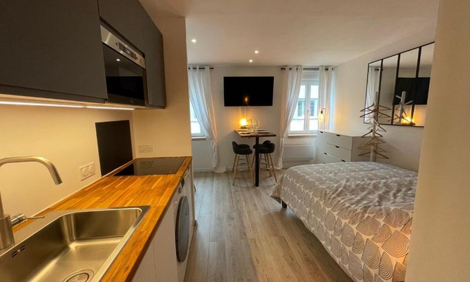 Poincare Apartment | Grand Studio - Le Kléber - Strasbourg Centre
