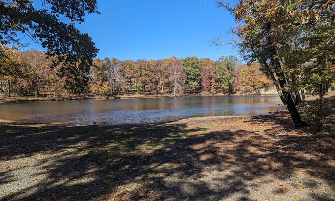 Sherwood House | Great Hide away that is light bright Safe and Cozy. Close to all. New amenities.
