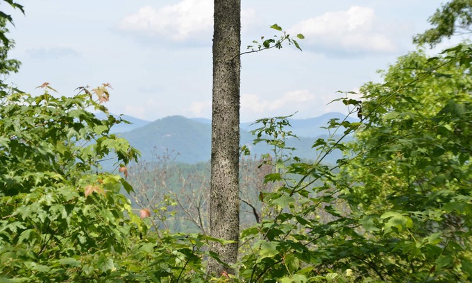 Franklin Cabin | Great Smoky Mountain cabin, hot tub, beautiful views