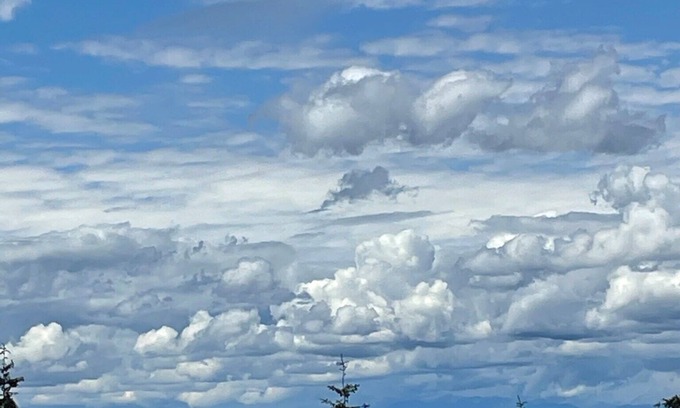 Federal Way Condo | Great Sunrise/Sunsets! peaceful, comfy, Come enjoy this awesome view!