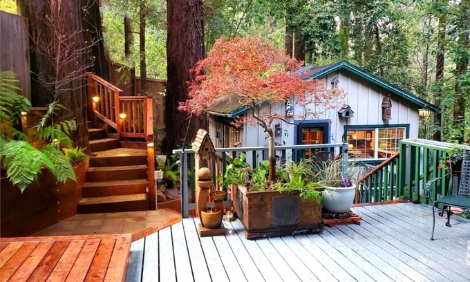 Guerneville Cottage | GuernevilleCottage~Unwind&Reconnect In the Redwoods, FireTbl/HotTub/WiFi/Pup