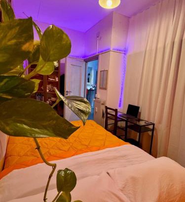 Quartiere XXXI Giuliano Dalmata House | Guest House Romoli