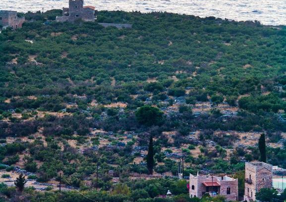 Omales Apartment | Guesthouse Toxotis