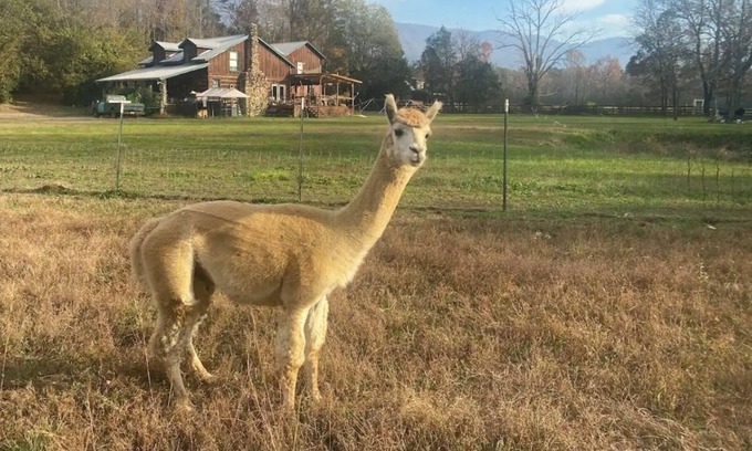 Benton Bed & Breakfast | Gypsy Haven A home away from home !