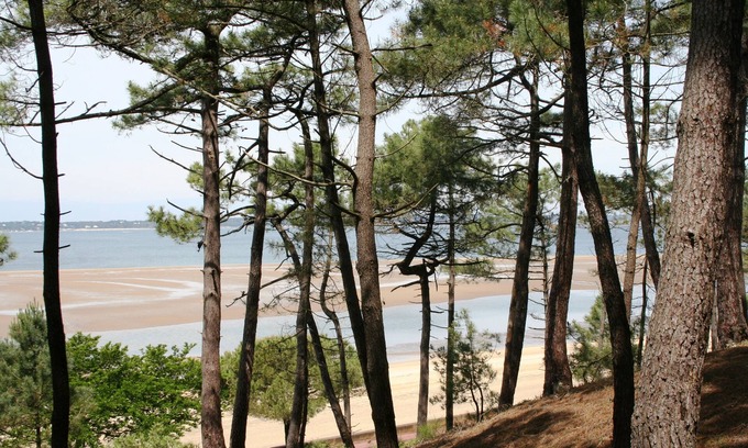 Arcachon Hotel | Hôtel du Parc