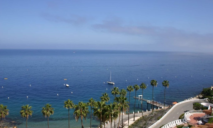 Avalon Villa | HamCove Full Ocean View GolfCart,WIFI,BBQ,A/C,rare,Smart TV Pool,Gym,OceanClose!