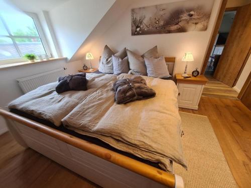 Weissenstadt Apartment | Haus Waldstein Gipfelstürmer