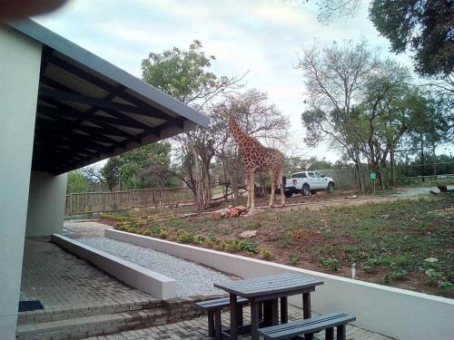 Hazyview Cabin | Hazyview Buffalo Game Lodge