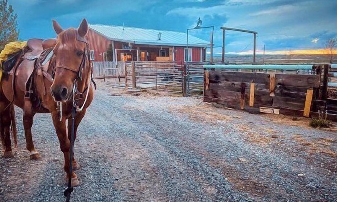 Cody Apartment | Heart Strings Ranch- Nestled on the Eastern flanks of Heart Mountain, near horses!