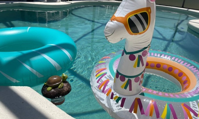 Sandy Ridge House | Heated Pool and BBQ/King Size beds, 2 master bdrms