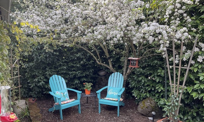 Western Cottage | Hideaway Hedge Guest Suite - 8 Min from U of O & Downtown - 20 from the airport