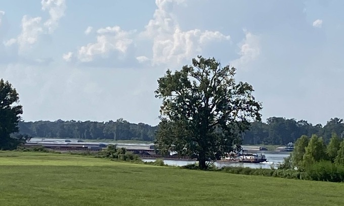 Donaldsonville House | Historic Shot Gun Home- In Historical Donaldsonville