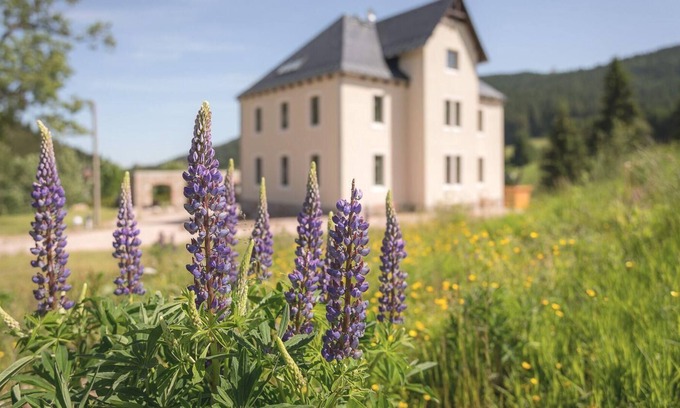 Wildenthal Apartment | Holiday apartment Eibenstock for 2 persons with 1 bedroom - Holiday apartment