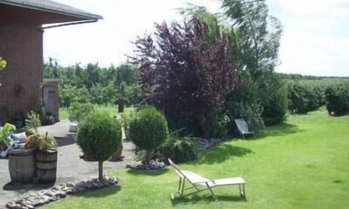 Jork Apartment | Holiday apartment Jork for 1 - 2 persons - Holiday apartment