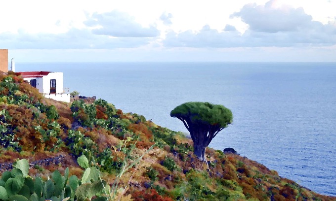 El Tablado House | Holiday home for 4 guests with 45 m² in El Tablado (125834)