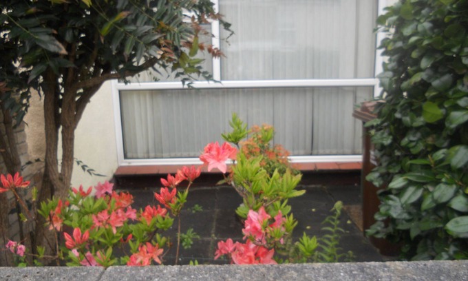 Plymouth House | Holiday home in Plymouth