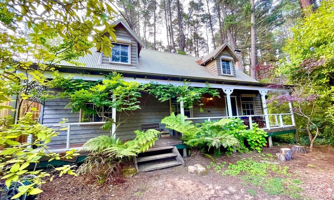 Medlow Bath Ski Chalet | Holly Lodge - Two-Storey Cedar Chalet, 4 Bedroom, 2 Bathroom, Fireplaces, BBQ, Near Hydro Majestic