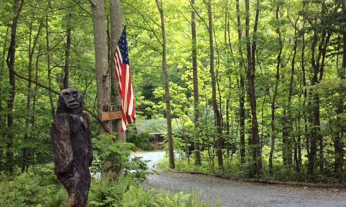 Flag Pond Cabin | Holyfield Cabin and Bunkhouse