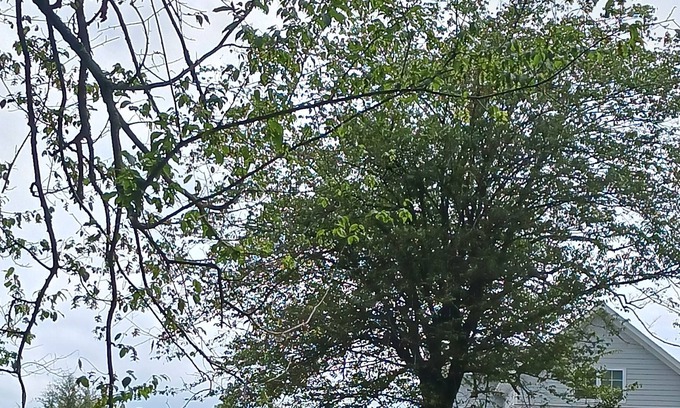 Hayesville House | Home In the Mountain Lakes area of North Carolina. Best rental around. Awesome!!