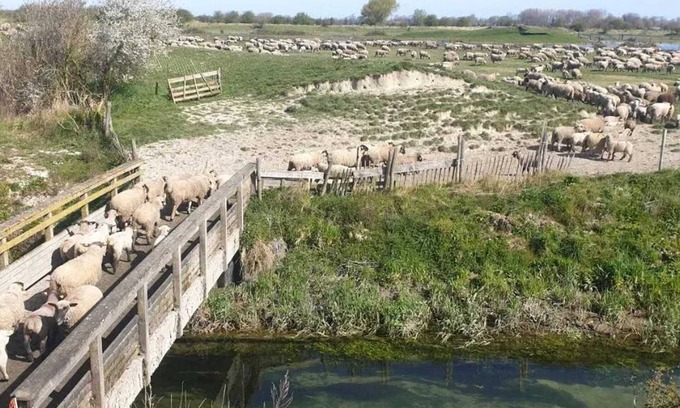 Favieres House | Homerez - Charming house near Favières with fenced garden