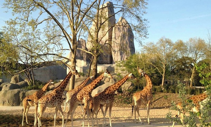 Montreuil Apartment | Homerez - Comfortable apartment in Montreuil - 80 m² - Garden view