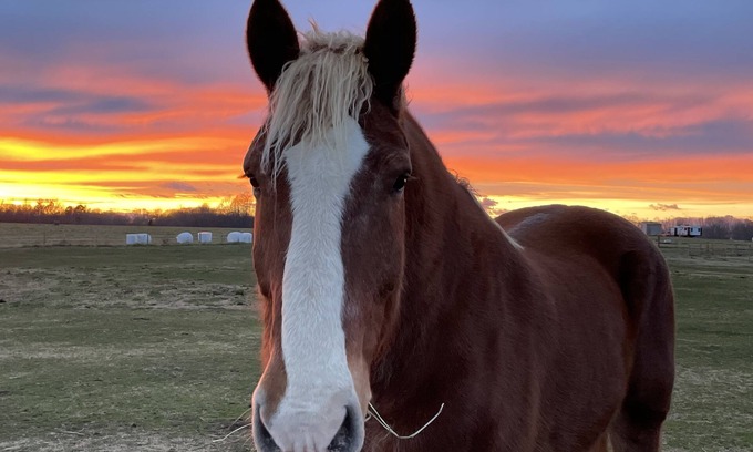 Seneca House | Horses, Big Sky, Tiny Home and Boat and Horse Trailer Parking