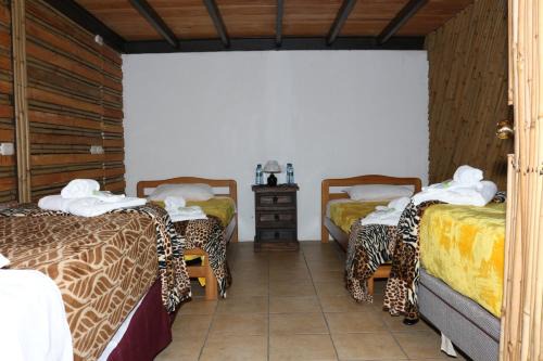 Santa Ana Bed & Breakfast | Hostal Casa Búho