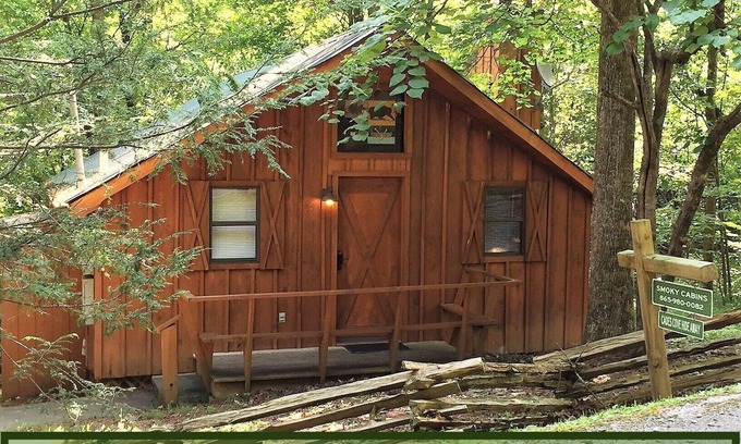 Townsend Cabin | Hot Tub - Gas Fireplace - King Bed - Secluded- Community Pool - Cozy