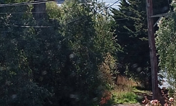 Playa Bonita Hotel | Hotel del viejo molino