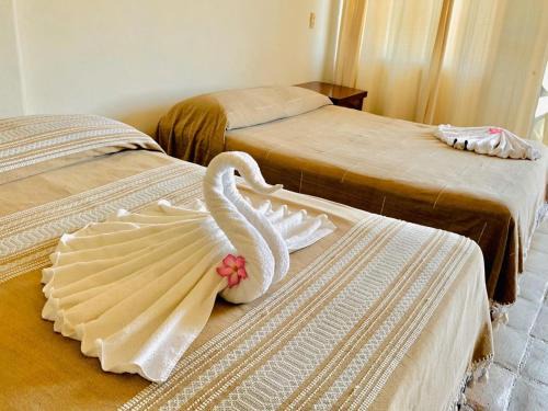 Puerto Angel Hotel | Hotel Cordelia's