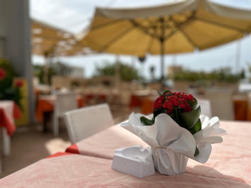 Salve Hotel | Hotel Costa Doro - Salve