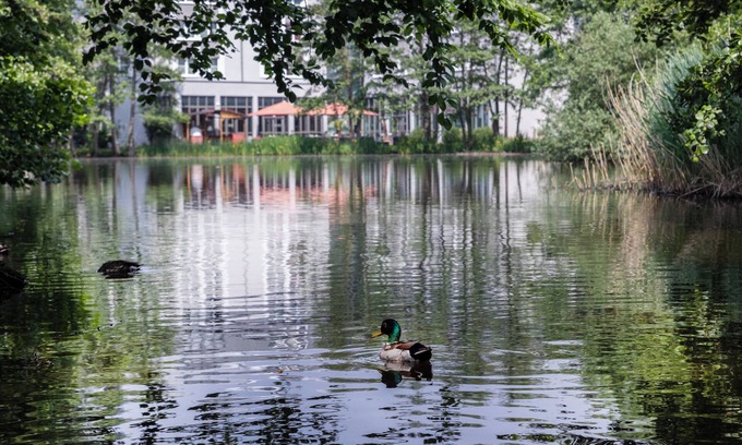 Fischeln Hotel | Hotel Düsseldorf Krefeld affiliated by Meliá