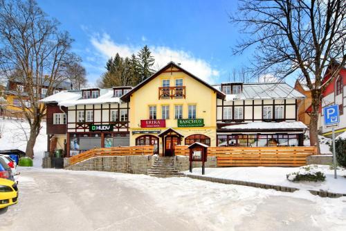 Spindleruv Mlyn Hotel | Hotel Erika