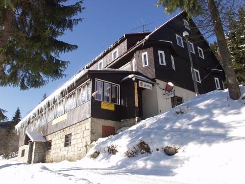 Vitkovice Hotel | Hotel Flora Dolní Mísečky