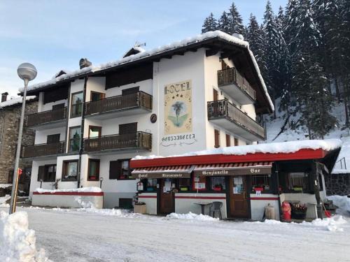 San Pietro di Cadore Hotel | Hotel Genzianella